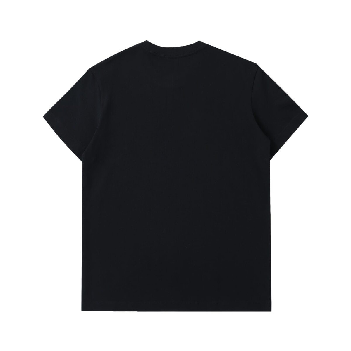 Heavyweight cotton t-shirt in Black — back view