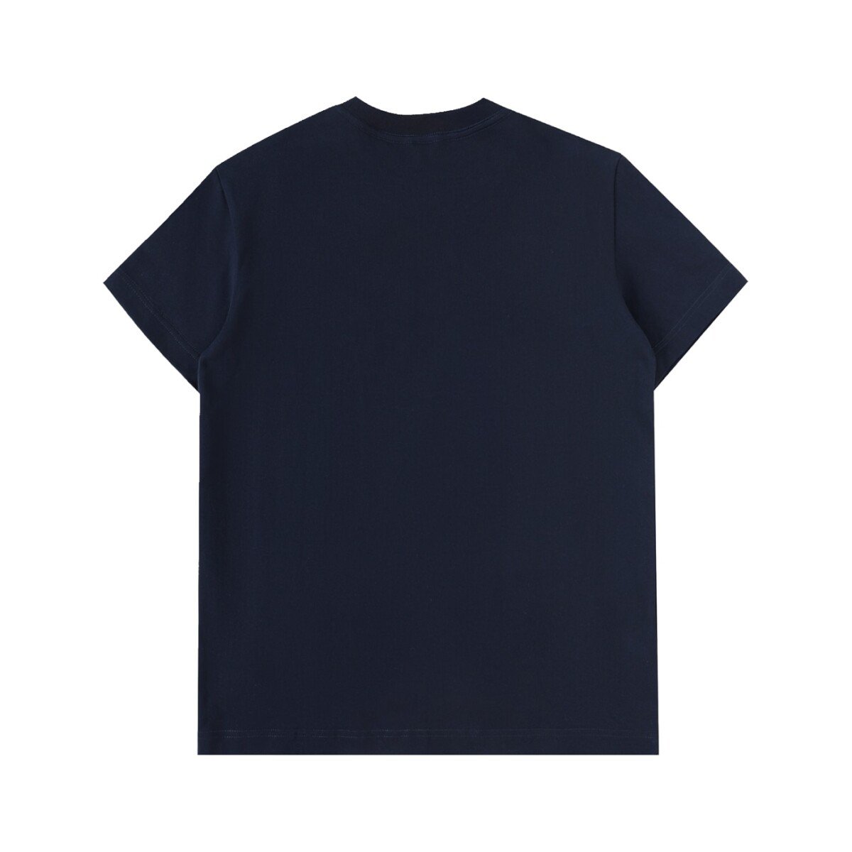 Heavyweight cotton t-shirt in Royal Blue — back view